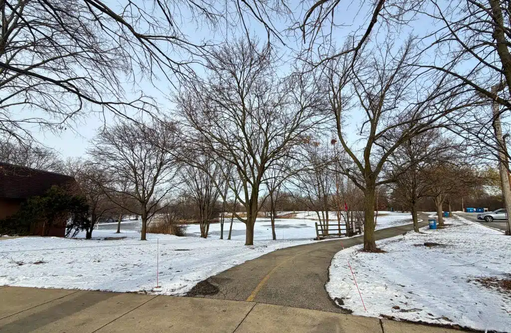 Hey Elmhurst! - Where to Go Ice Skating in Elmhurst