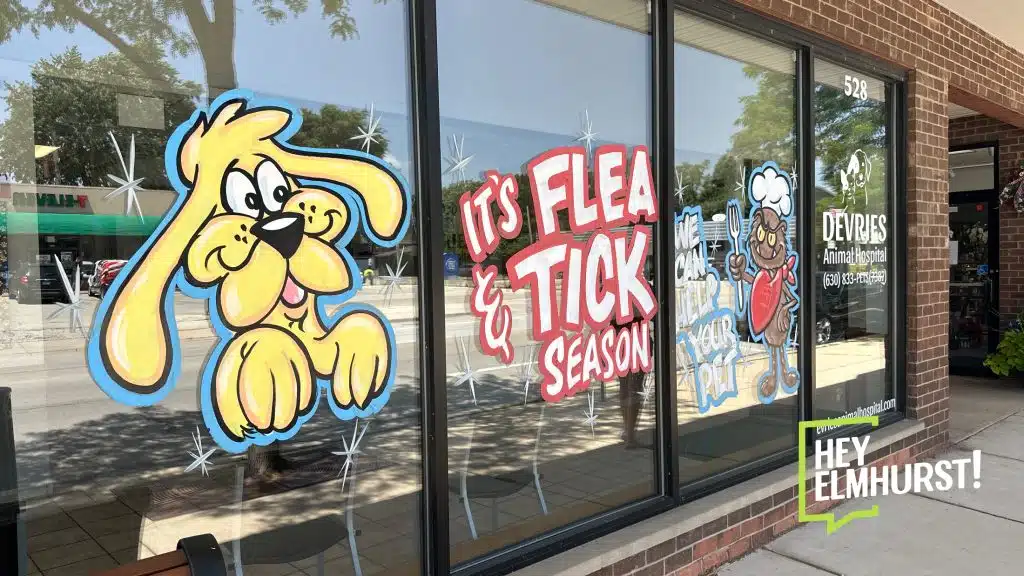 DeVries Animal Hospital — Outside 02