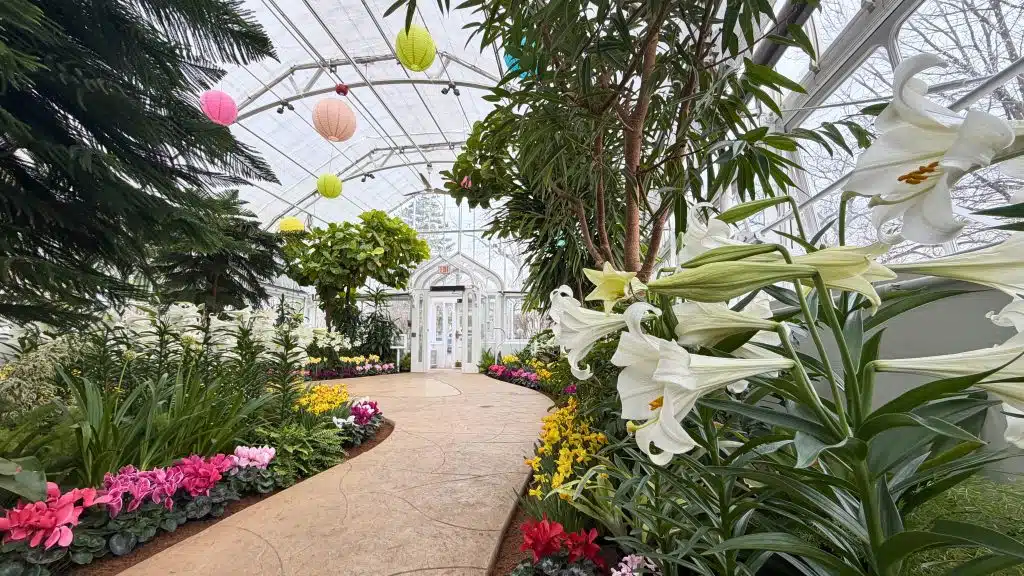 Hey Elmhurst! - Mother's Day in Elmhurst - Wilder Park Conservatory